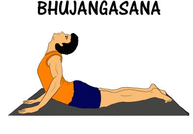 पोटावर झोपून करावयाचीआसने पोटावर झोपून करावयाचीआसने