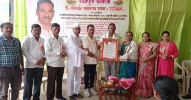हिंदी भाषेमुळे रोजगाराच्या नव्या संधी– डॉ. प्रेरणा उबाळे