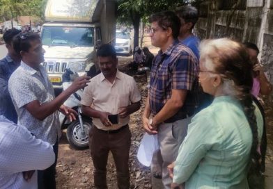 वृक्षप्रेमींच्या सक्रियतेने ४६ झाडांना अभय!